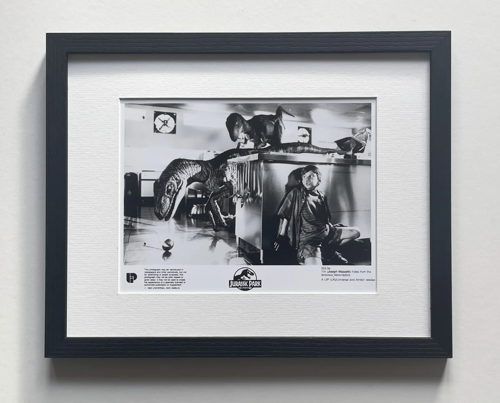 Jurassic Park Photo Framed Original 8X10 Inch B&W Press Publicity Still, image 2