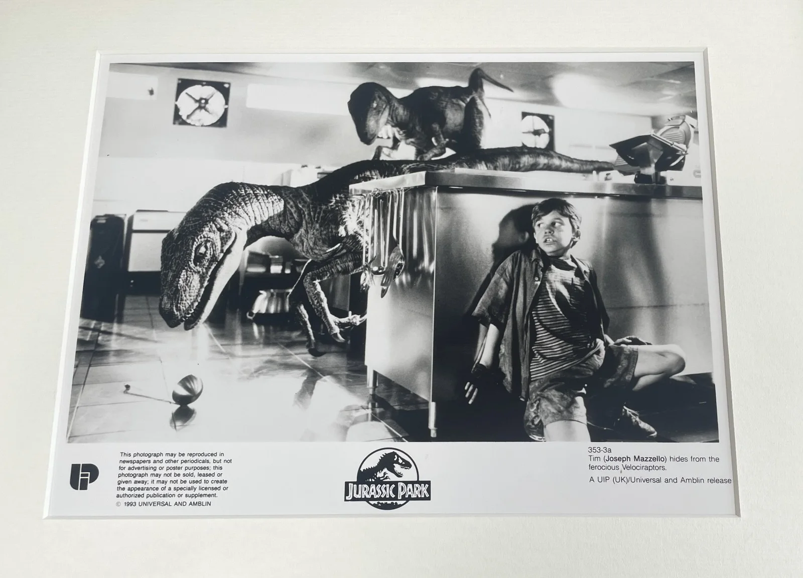 Jurassic Park Photo Framed Original 8X10 Inch B&W Press Publicity Still, image 3