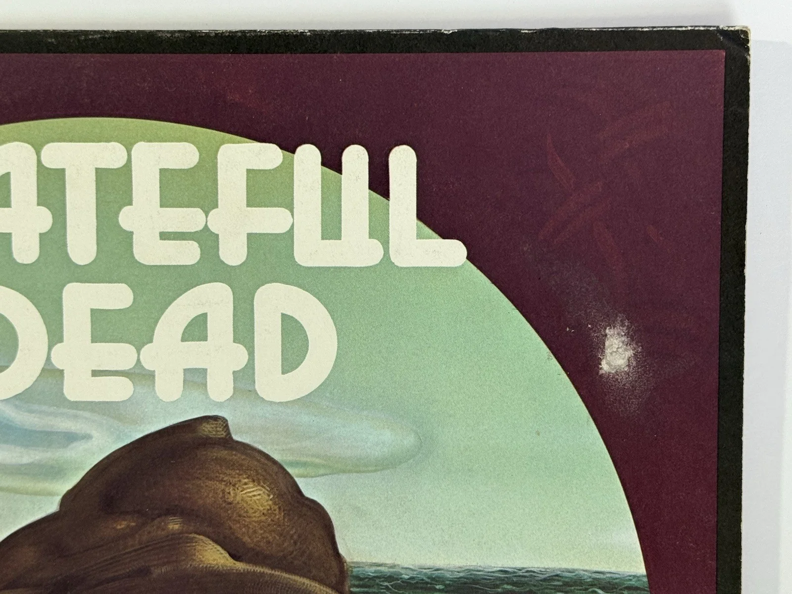 Bob Weir signed Grateful Dead Album Mickey Hart wake of the flood vinyl Psa Dna, изображение 4
