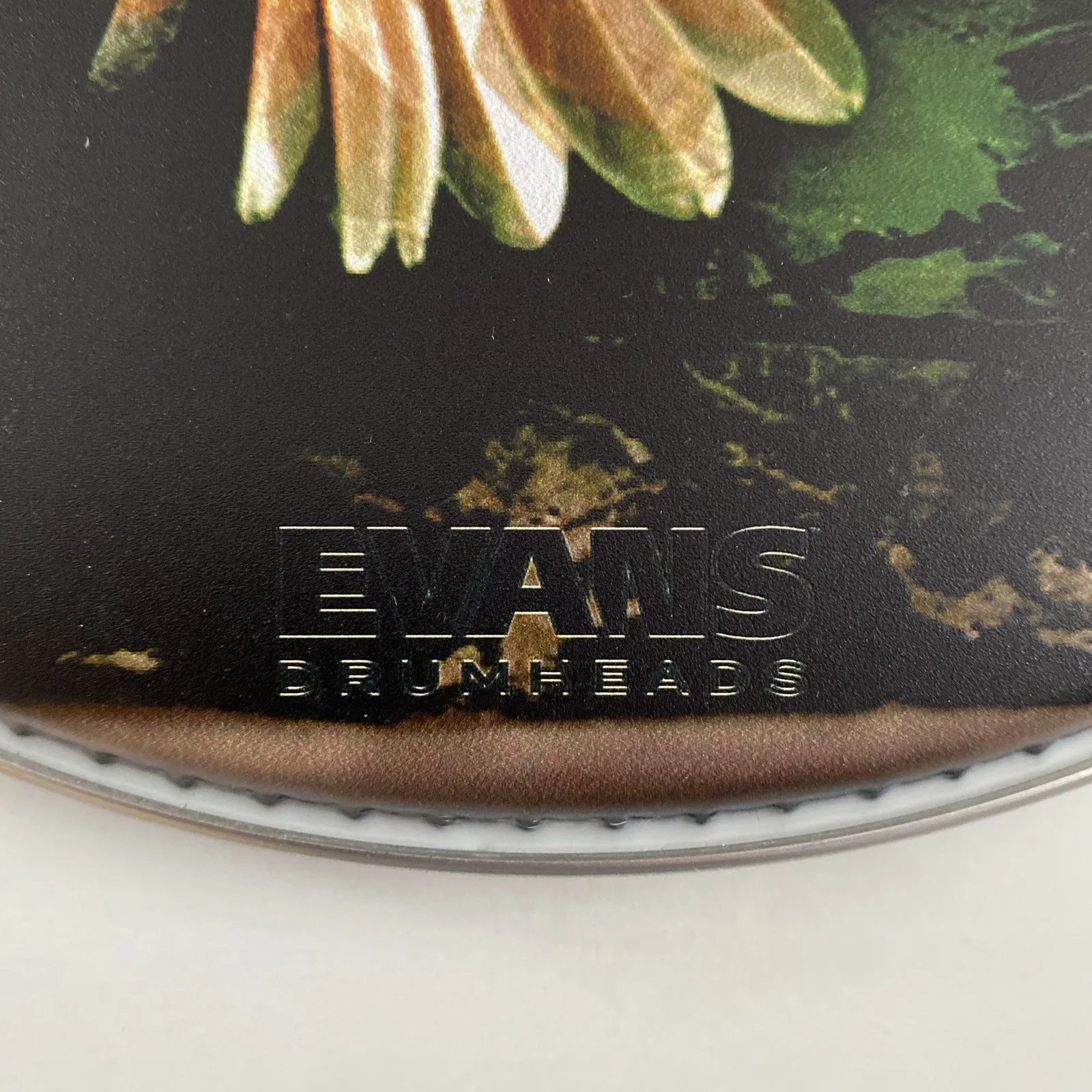 10 Years The Autumn Effect signed drumhead, image 2
