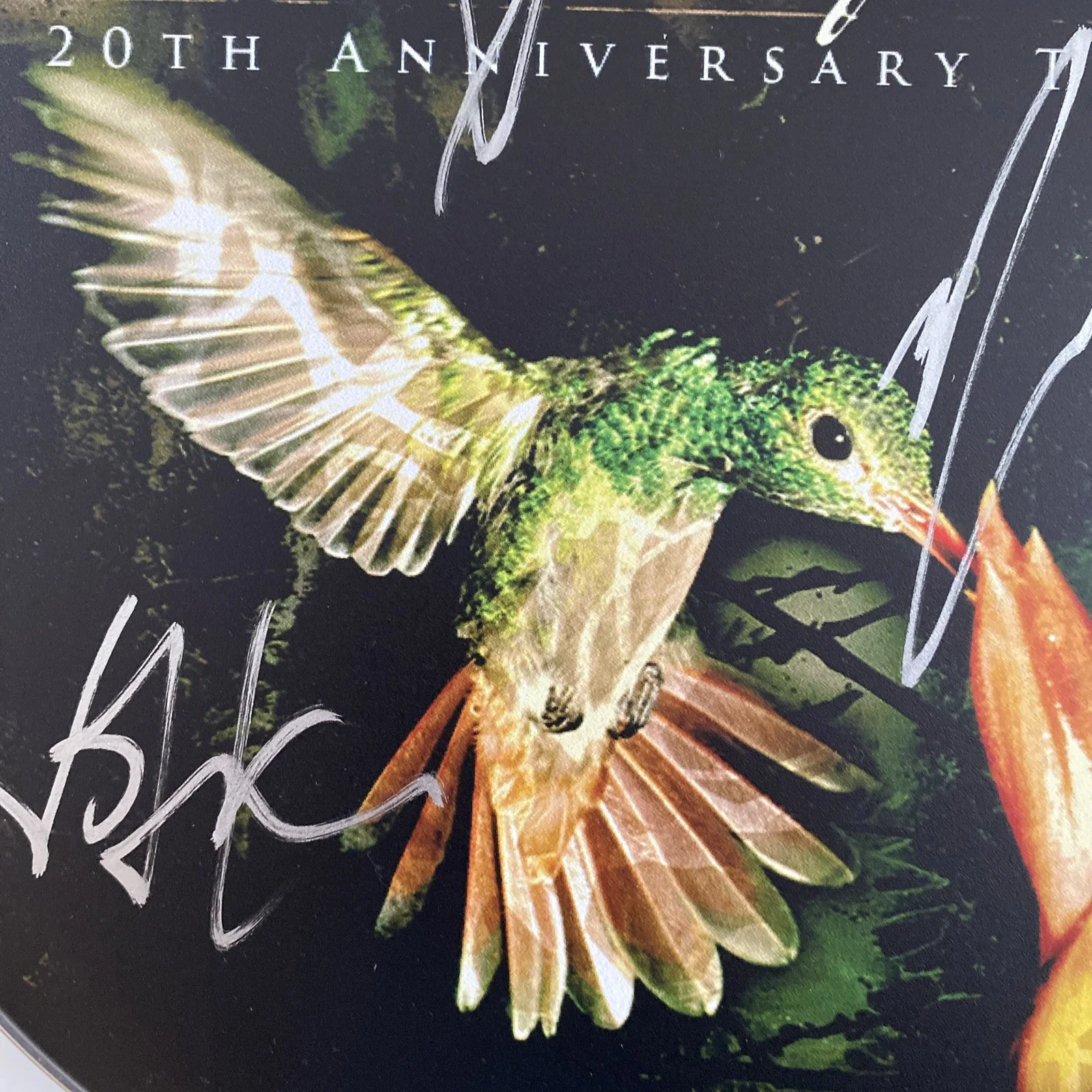 10 Years The Autumn Effect signed drumhead, image 4