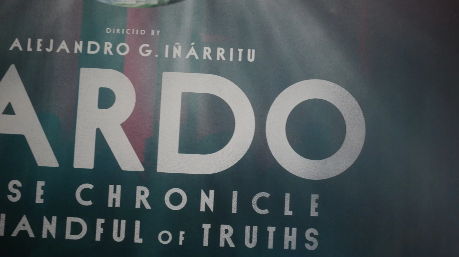 Bardo: False Chronicle of a Handful of Truths RARE UK 40"x30" Quad Movie Poster, изображение 4