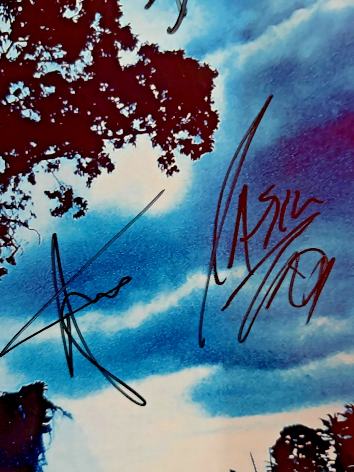 Barry Kerch, Brent Smith, Brad Stewart, Jasin Todd — SHINEDOWN SIGNED AUTOGRAPHED 8X10 PHOTO X4 KERCH SMITH STEWART TODD RARE PSA, изображение 2