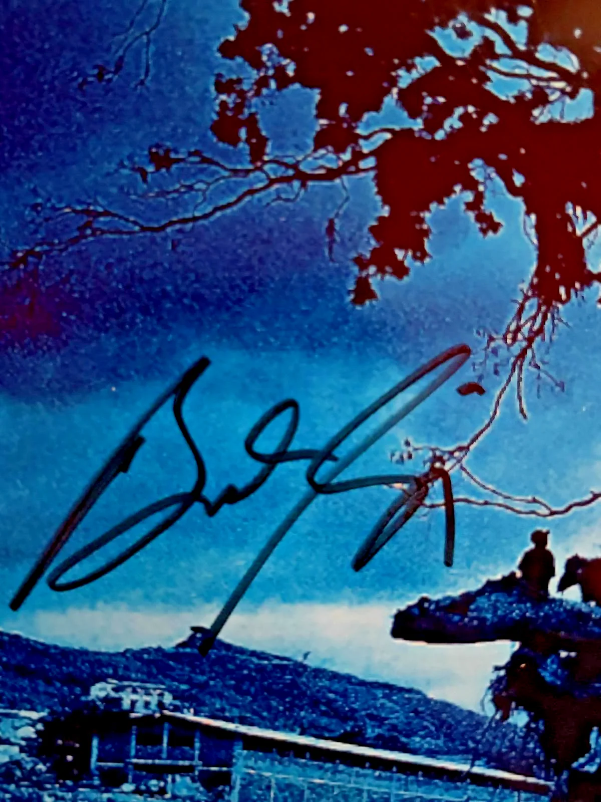 Barry Kerch, Brent Smith, Brad Stewart, Jasin Todd — SHINEDOWN SIGNED AUTOGRAPHED 8X10 PHOTO X4 KERCH SMITH STEWART TODD RARE PSA, изображение 4