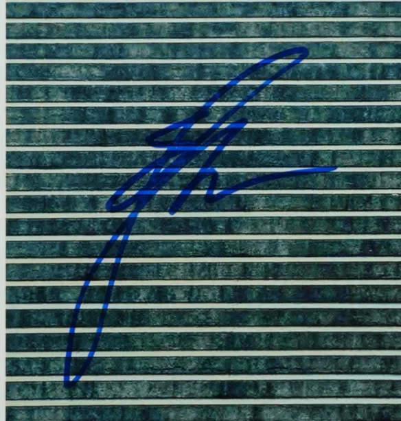 Liz Hannah — LIZ HANNAH SIGNED AUTOGRAPHED 8X10 PHOTO STREEP HANKS THE POST RARE PSA COA, изображение 2
