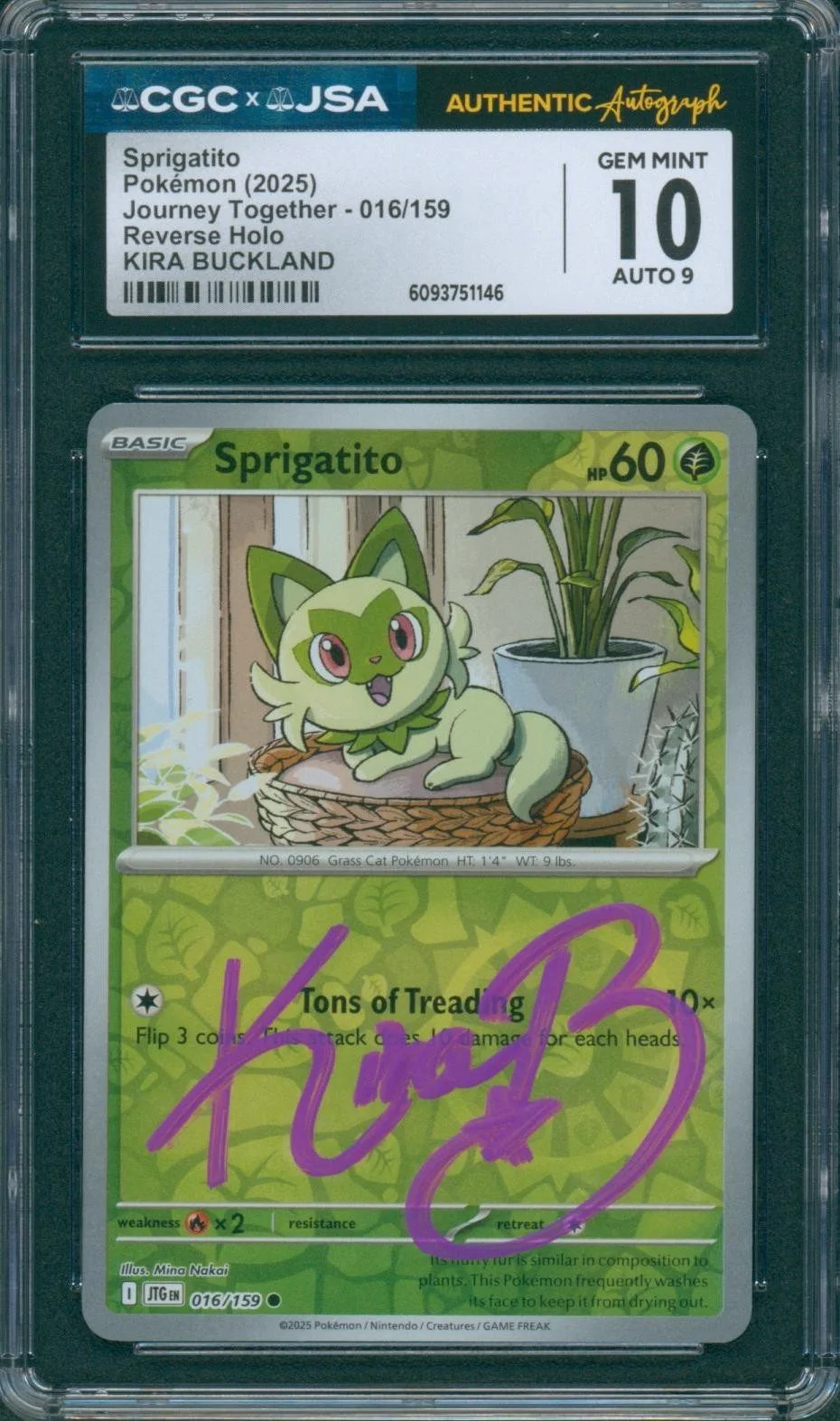 Kira Buckland — Kira Buckland Signed Card Sprigatito Pokemon Horizons Gem Mint 10 CGC x JSA SLAB