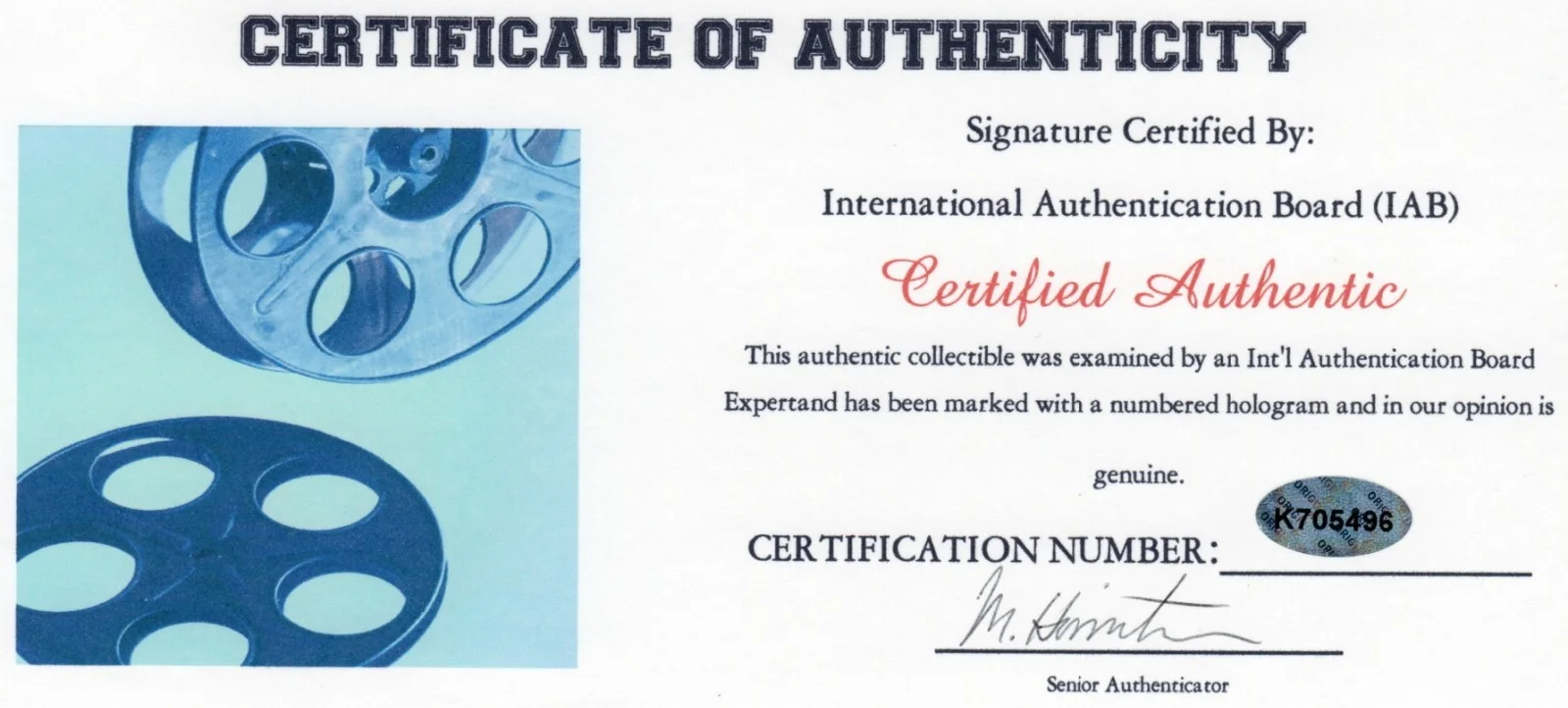Liv Tyler — Liv Tyler Autographed Photo 10 w COA, изображение 2