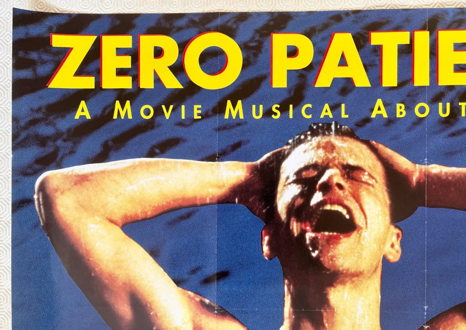 Zero Patience Original 1993 Movie Quad Poster John Robinson Normand Fauteux, image 5