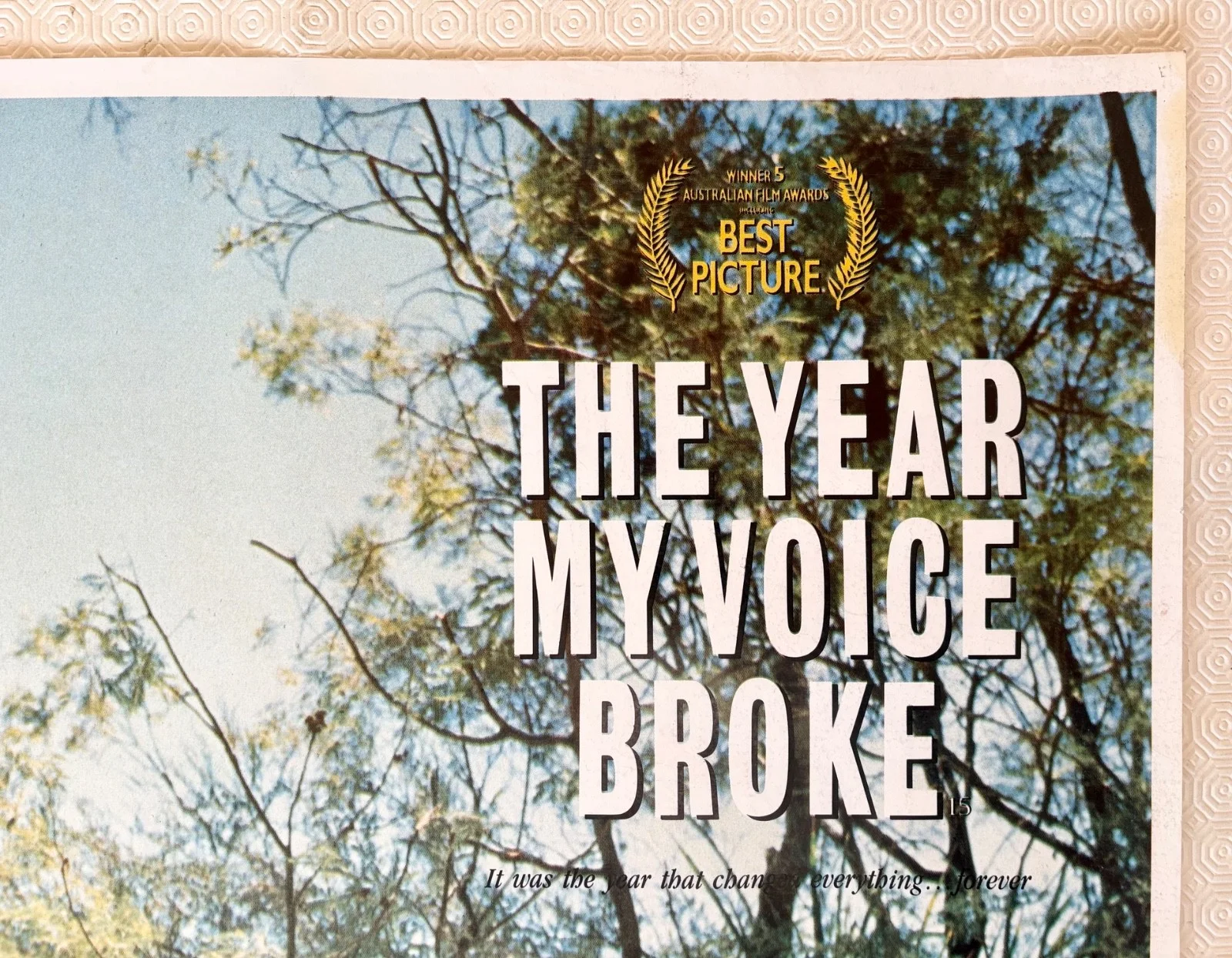 The Year My Voice Broke Original 1987 Quad Poster Noah Taylor Loene Carmen, изображение 4