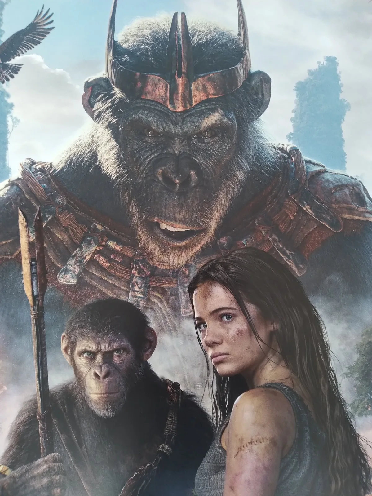 Kingdom of the Planet of the Apes original movie 2024 poster UK quad, изображение 2