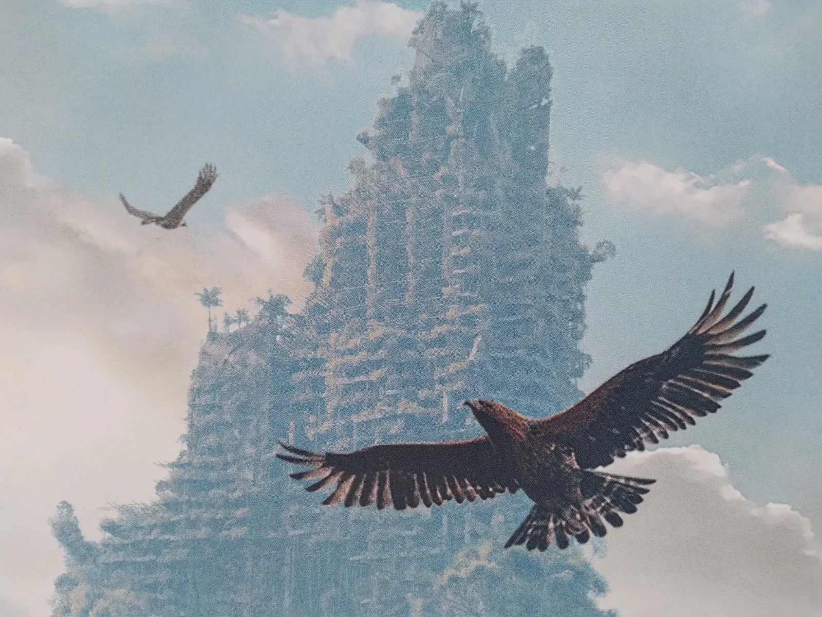 Kingdom of the Planet of the Apes original movie 2024 poster UK quad, изображение 5