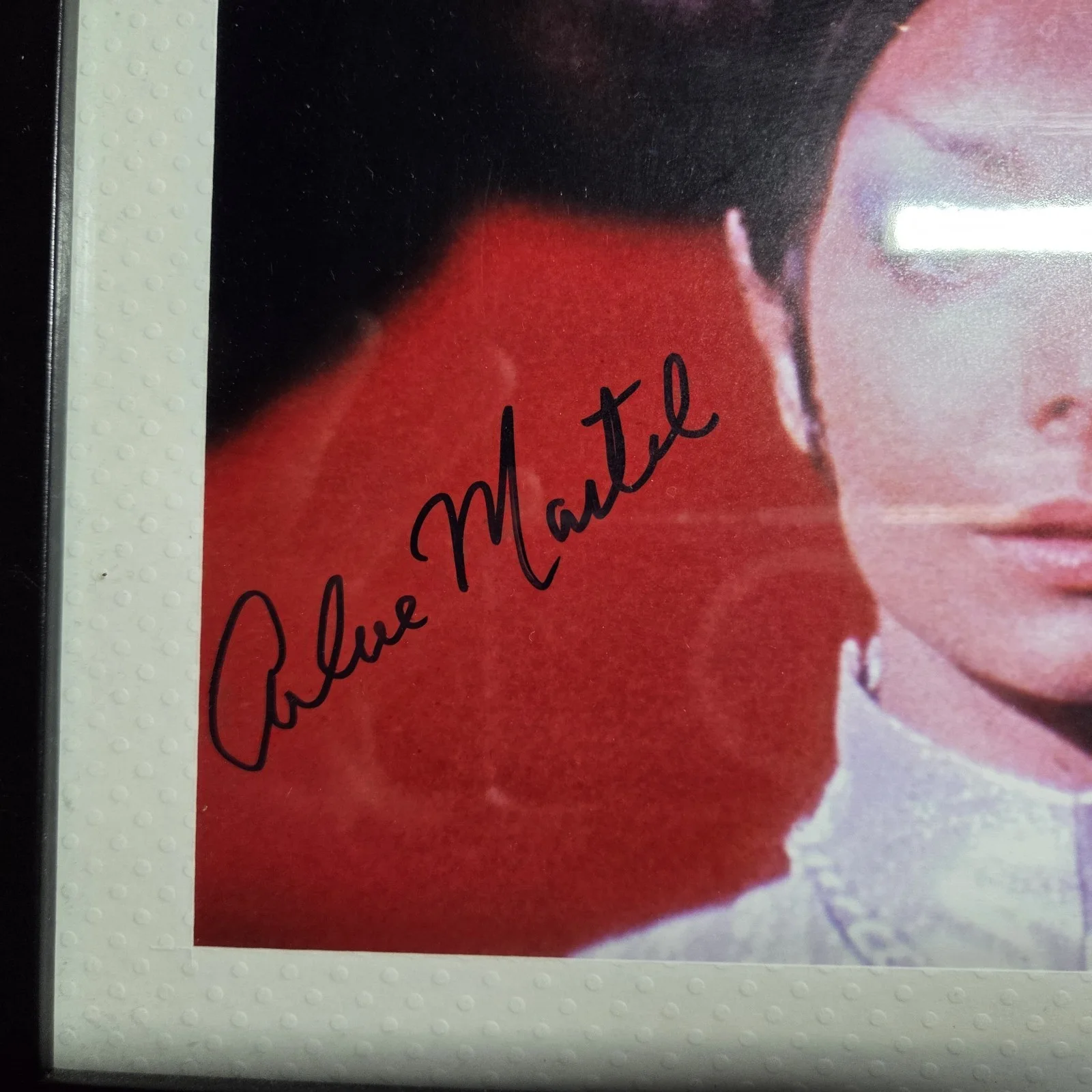 Star Trek T'Pring (Arlene Martel) Signed Photo Framed - No COA, image 3