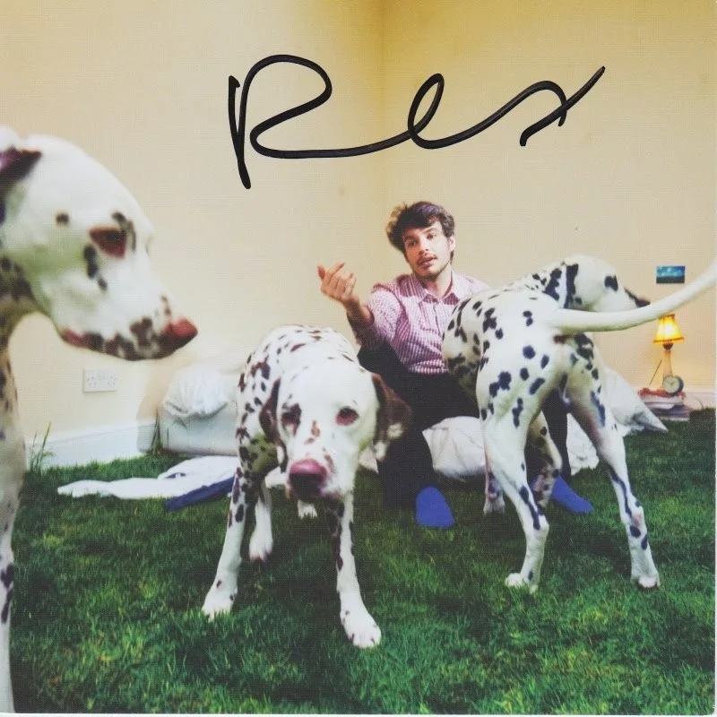 REX ORANGE COUNTY SIGNED FRAMED & MATTED WHO CARES? CD w/ AUTOGRAPH ACOA COA, image 2
