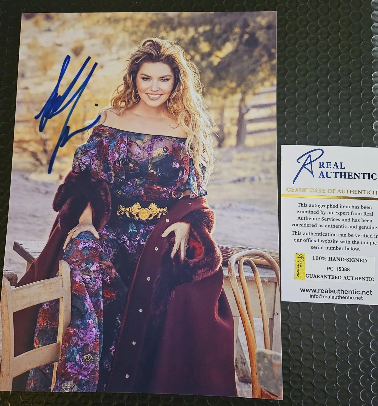 Country 🎶Star SHANIA TWAIN ORIGINAL AUTOGRAPH ON THIS GREAT 9X12IN PHOTO W/ COA, изображение 2