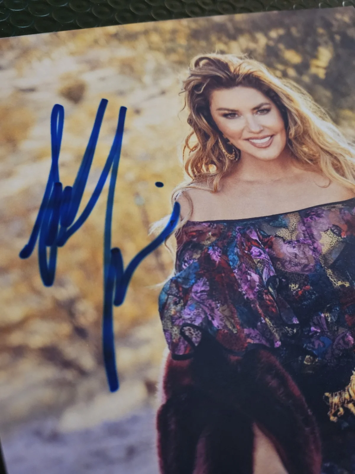 Country 🎶Star SHANIA TWAIN ORIGINAL AUTOGRAPH ON THIS GREAT 9X12IN PHOTO W/ COA, изображение 3
