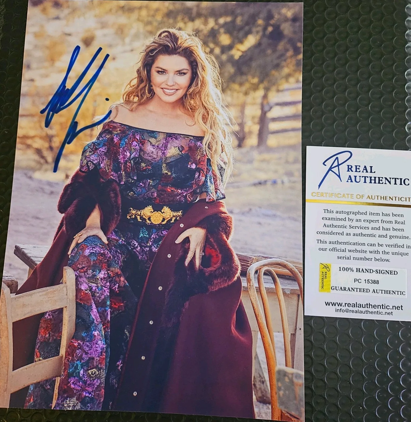 Country 🎶Star SHANIA TWAIN ORIGINAL AUTOGRAPH ON THIS GREAT 9X12IN PHOTO W/ COA, изображение 4