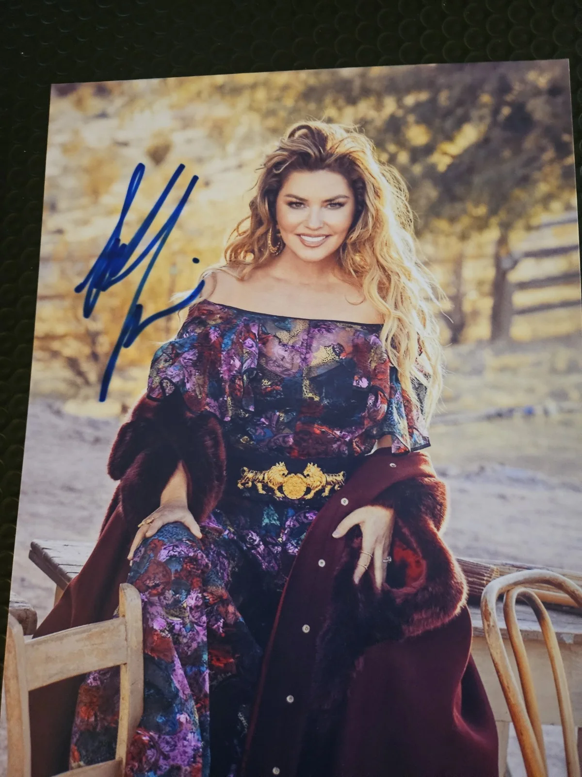 Country 🎶Star SHANIA TWAIN ORIGINAL AUTOGRAPH ON THIS GREAT 9X12IN PHOTO W/ COA, изображение 5
