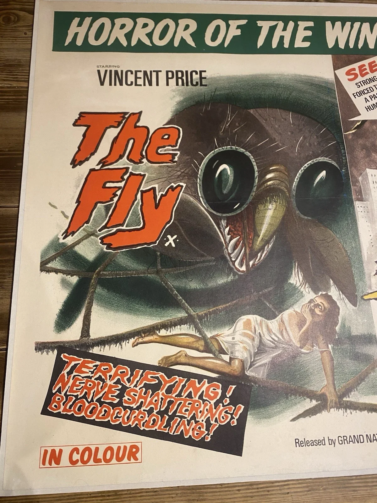The Fly And Wasp Woman Original Quad Poster 1958, изображение 2