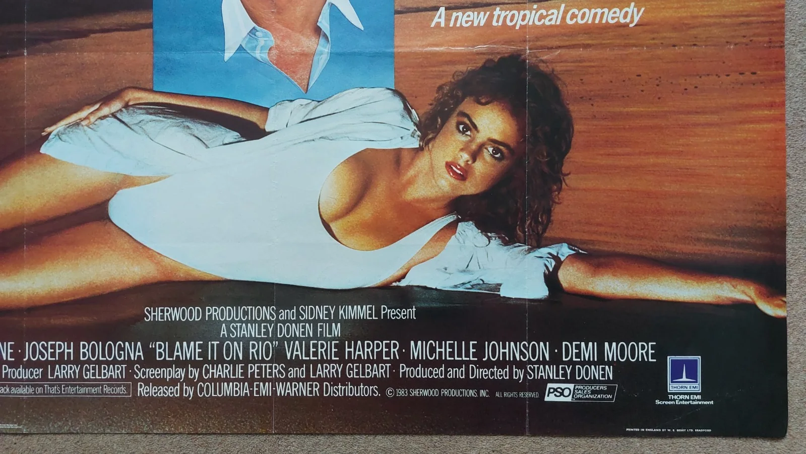 Blame it on Rio Original UK Quad Poster, image 4