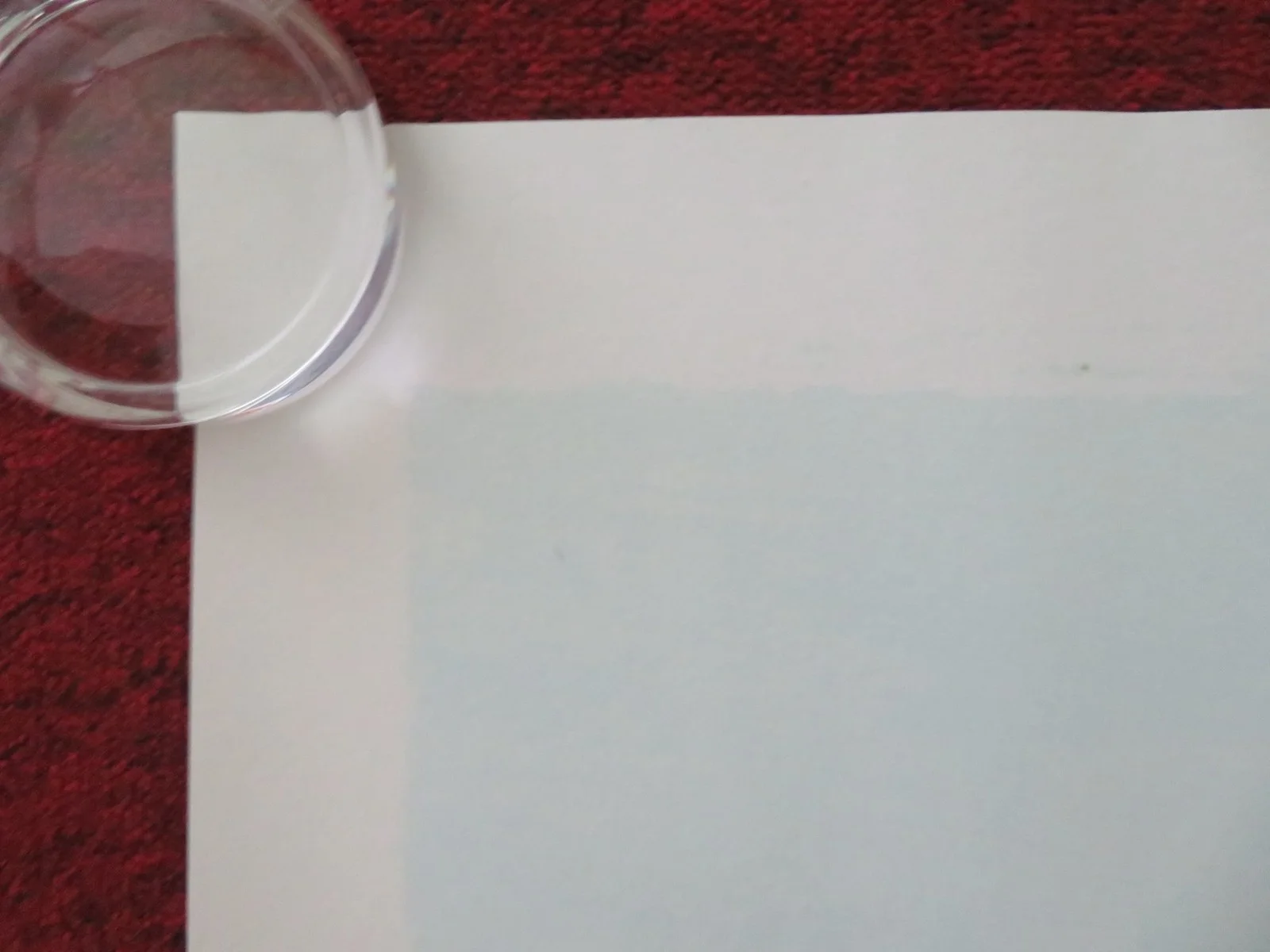 THE GOLDEN SPURTLE UK QUAD ROLLED POSTER IAN BISHOP ADAM KIANI C. MILLER 2025, image 3