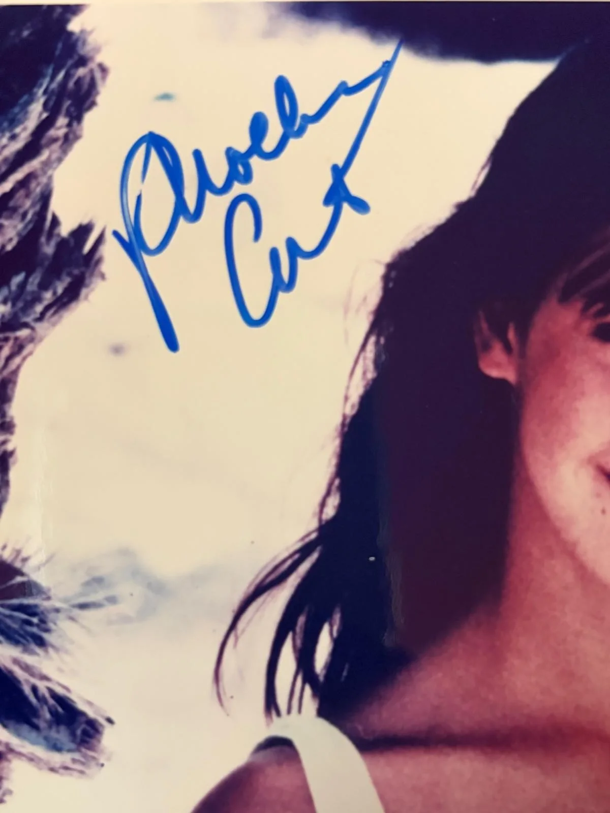 Phoebe Cates — PHOEBE CATES SIGNED AUTOGRAPHED 8X10 PHOTO SEXY HOT KLINE VINTAGE RARE PSA I, изображение 2