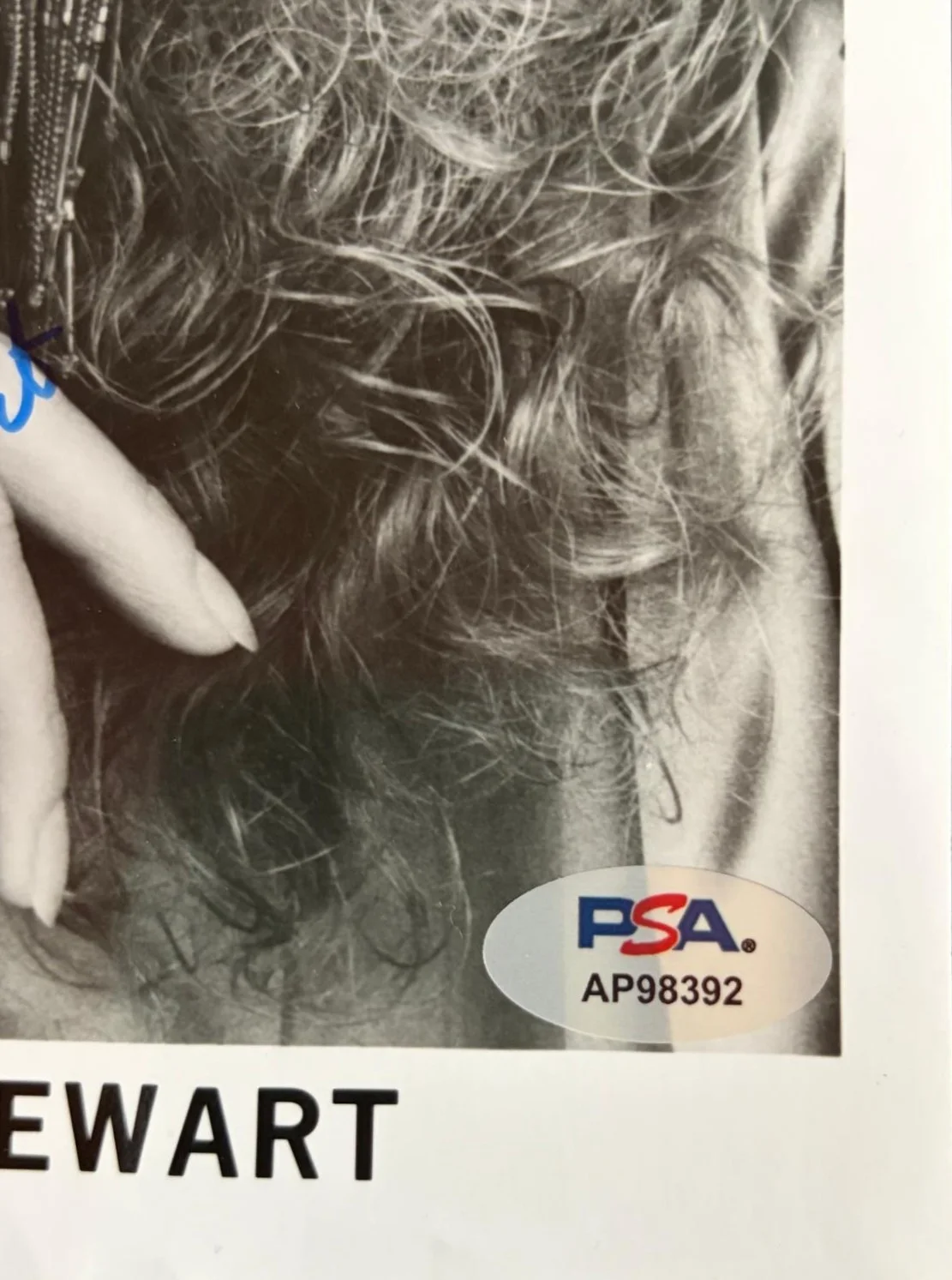 Catherine Mary Stewart — CATHERINE MARY STEWART SIGNED AUTOGRAPHED 8X10 PHOTO RARE PSA COA A, image 3