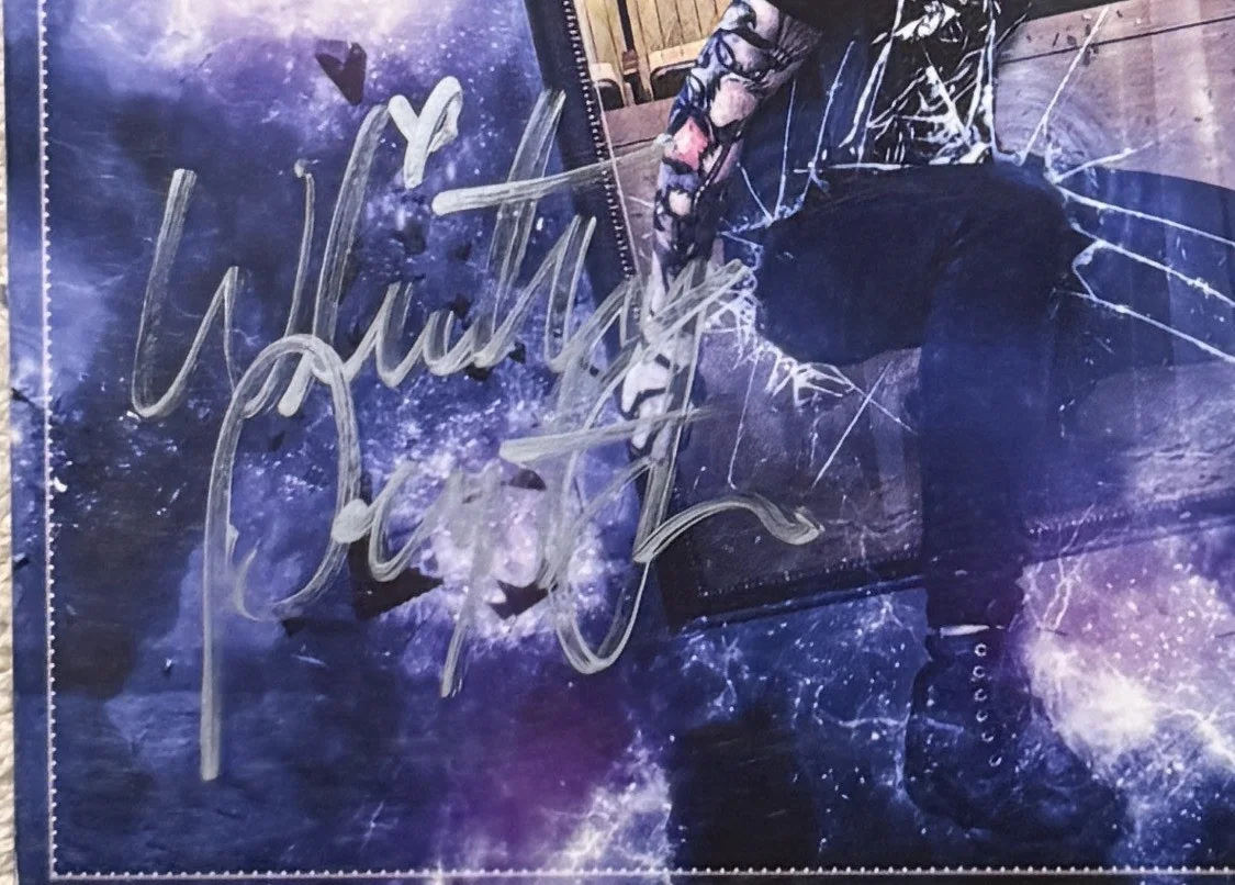 WHITNEY PEYTON “Break The Frame” Album Signed CD ALPHA HOWSE Buzz Records RARE, image 2
