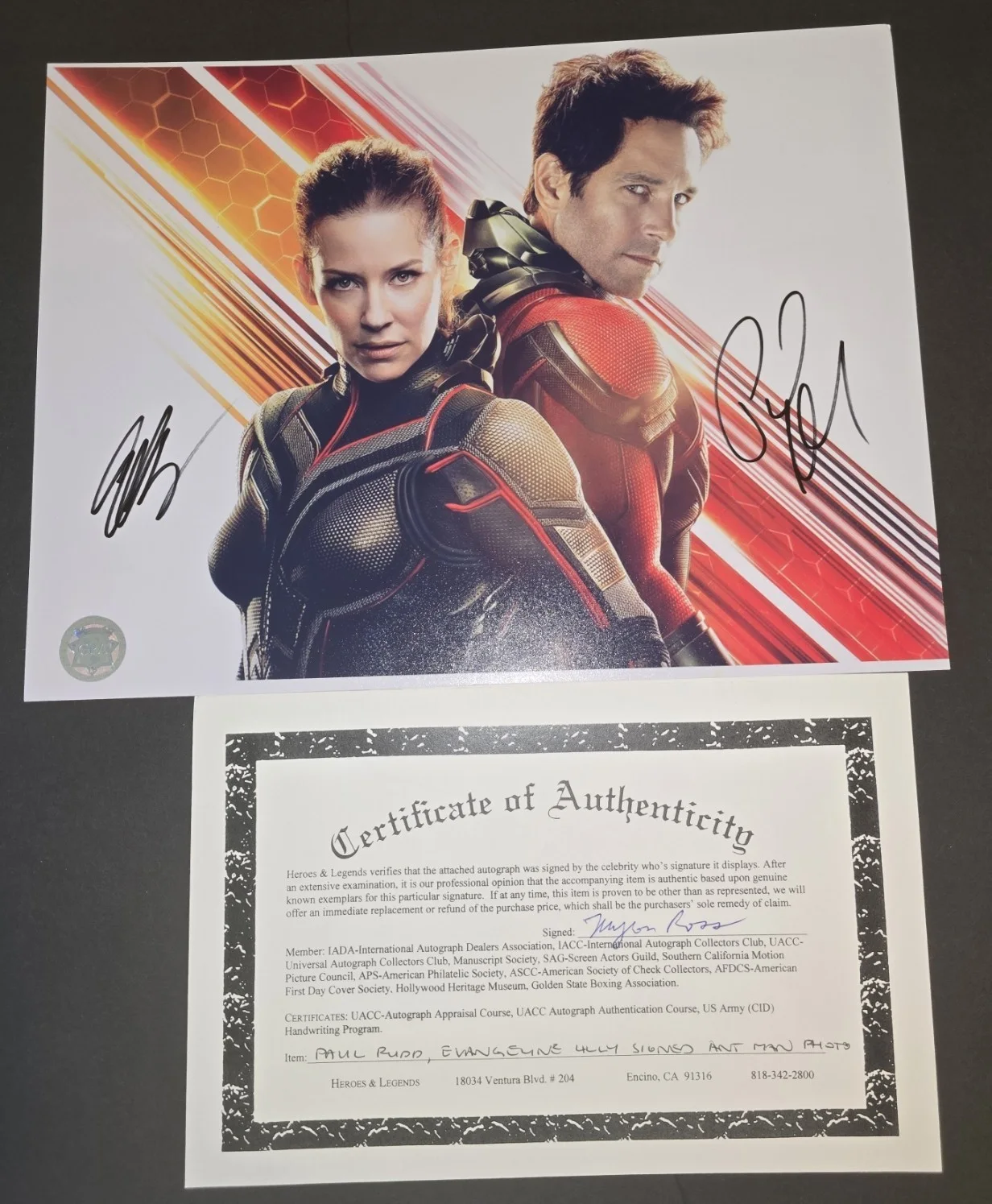 Paul Rudd, Evangeline Lilly — Paul Rudd & Evangeline Lilly Dual-Signed Ant-Man & The Wasp 8x10 Photo – COA, image 2