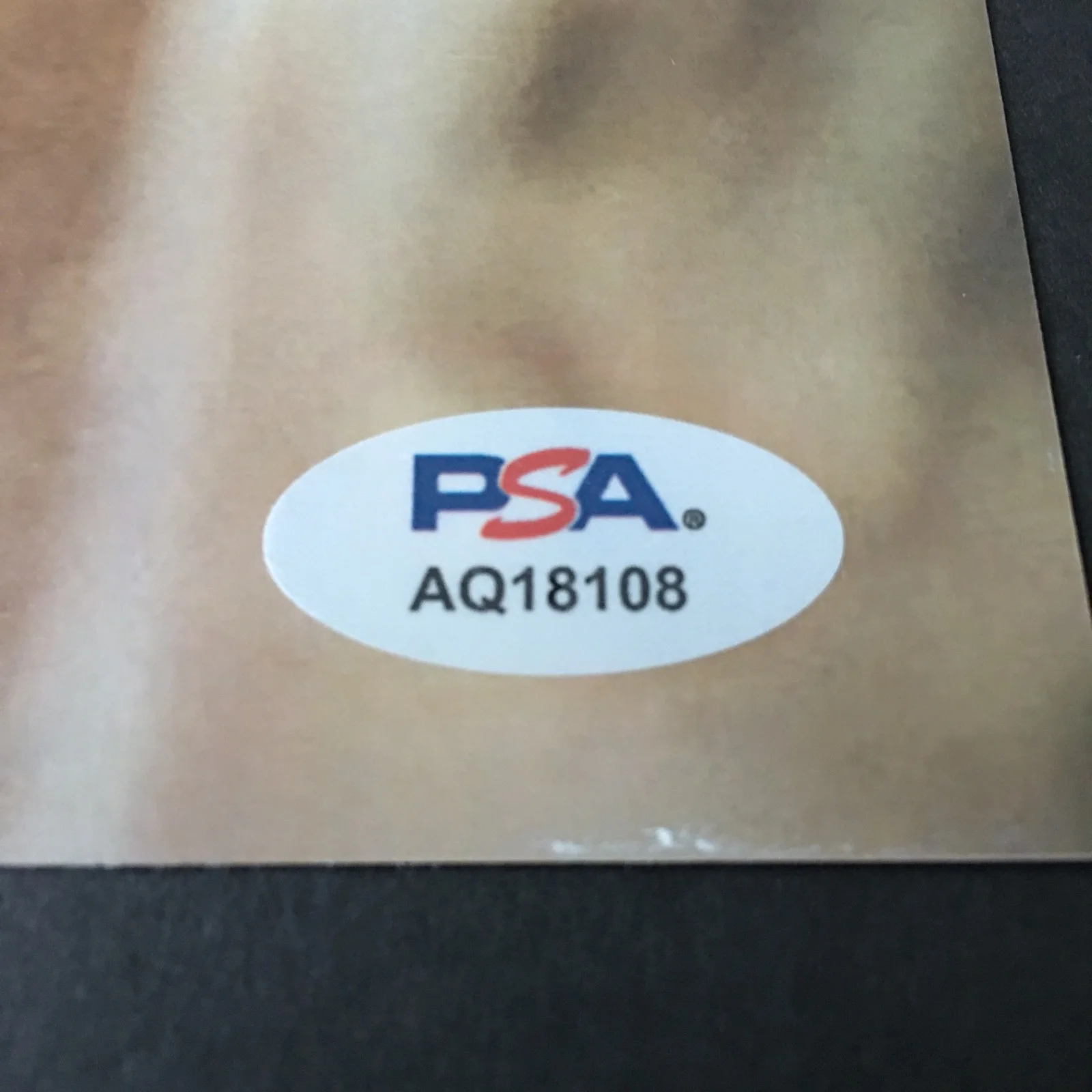 Adria Arjona — ADRIA ARJONA SIGNED 11x14 PHOTO PSA DNA AUTOGRAPH PHOTOSHOOT ROBE, изображение 2