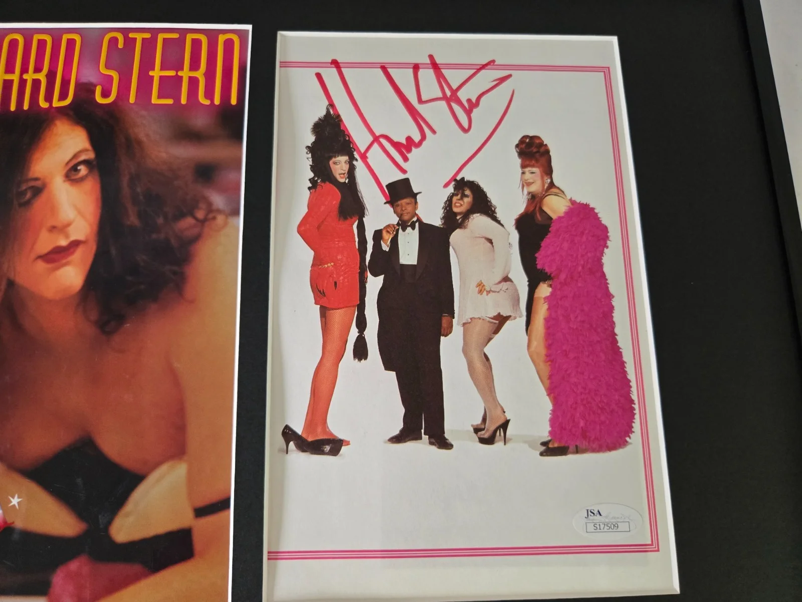 Howard Stern Signed Photo Display Framed 12x18 JSA Private Parts, изображение 2