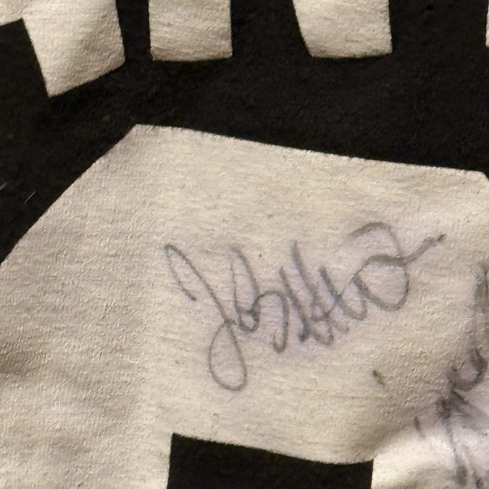 Signed Anthrax Band Signed Tee Shirt 2011 Small Size, image 4