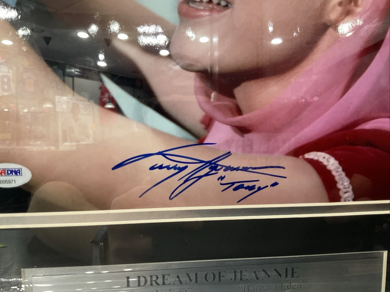 Tony Nelson & Barbara Eden Signed I Dream Of Jeannie 11x14 Photo Framed PSA DNA, изображение 3