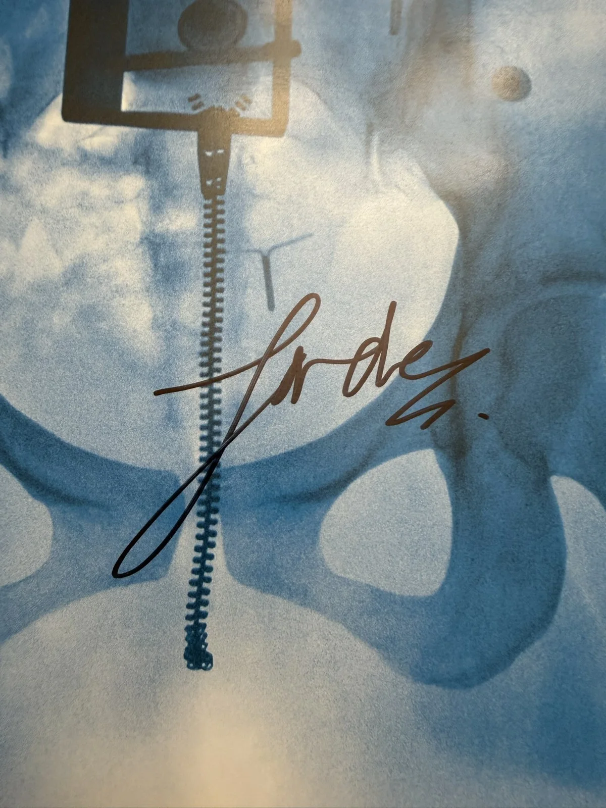 Lorde SIGNED Virgin Art Card Photo & Vinyl LP COA Autograph SP26109, image 2