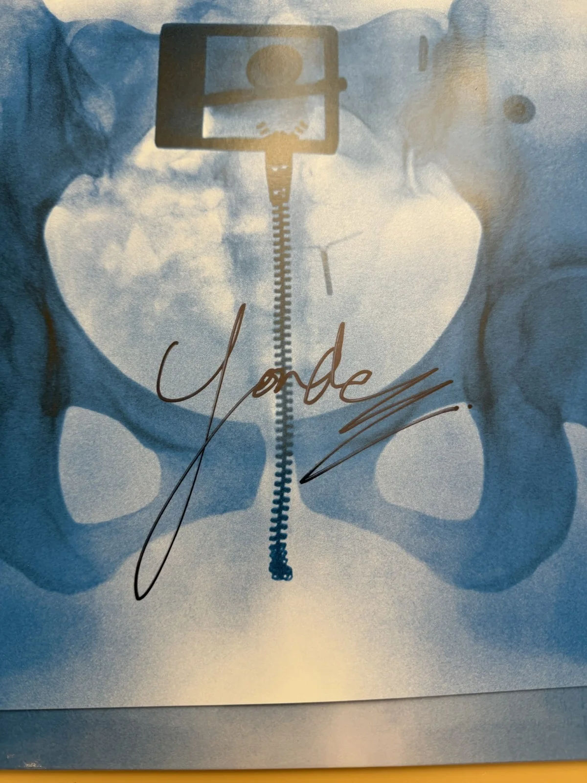 SIGNED Lorde Virgin Art Card Photograph Vinyl LP COA Autograph SP26108, image 2