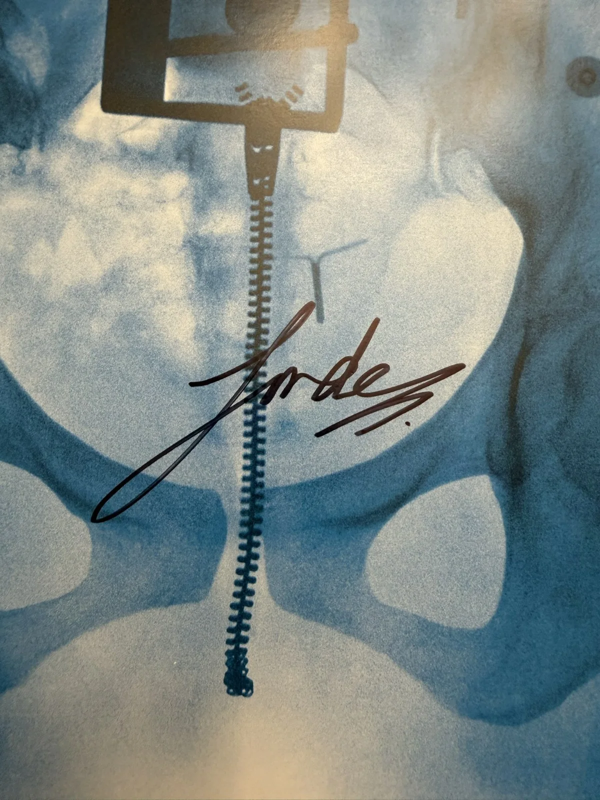 Lorde SIGNED Vinyl LP Virgin Art Card Photograph Autograph COA SP26111, image 2