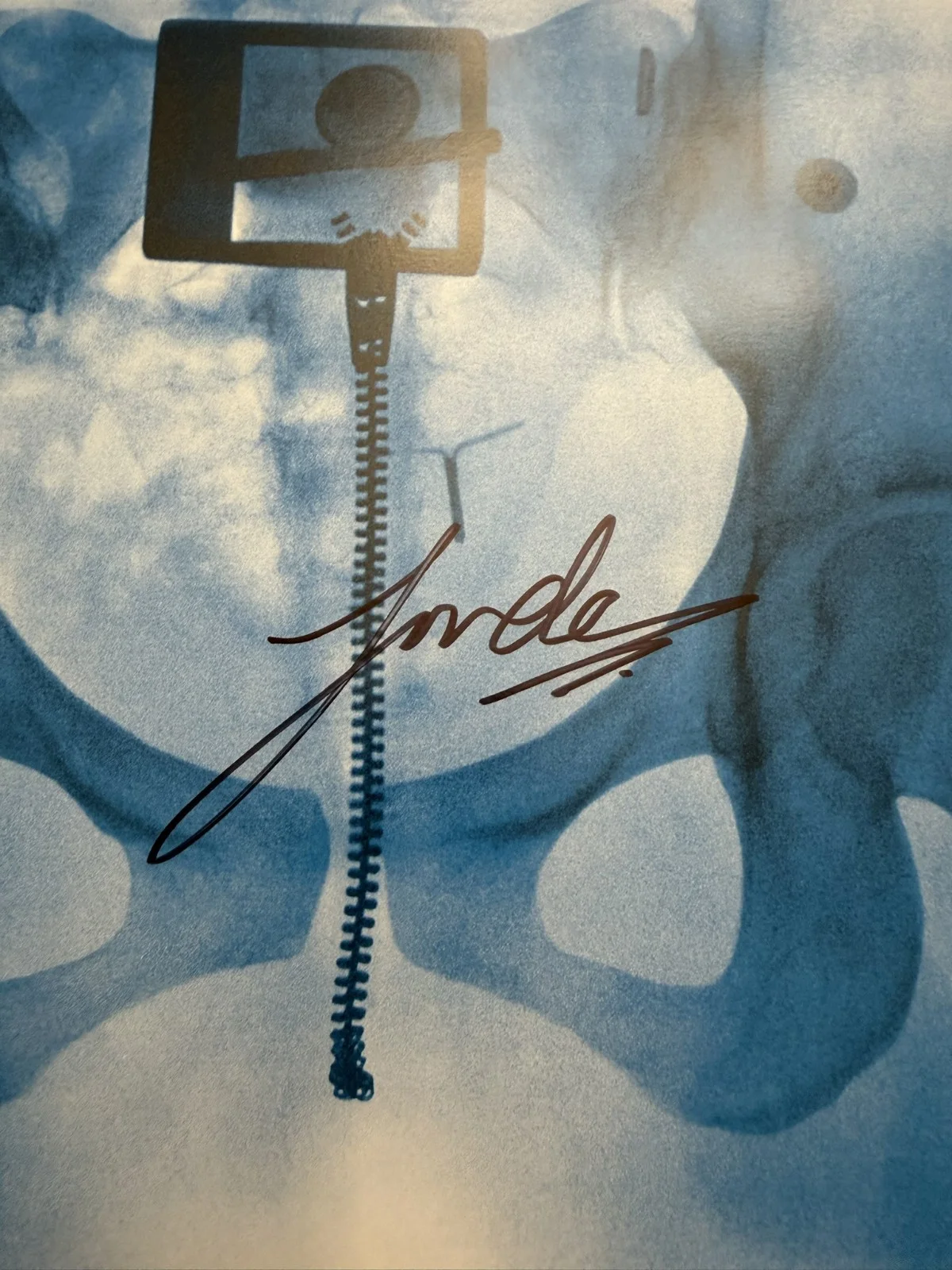 SIGNED Lorde Virgin Art Card Photo Vinyl LP Autograph COA SP26110, изображение 2