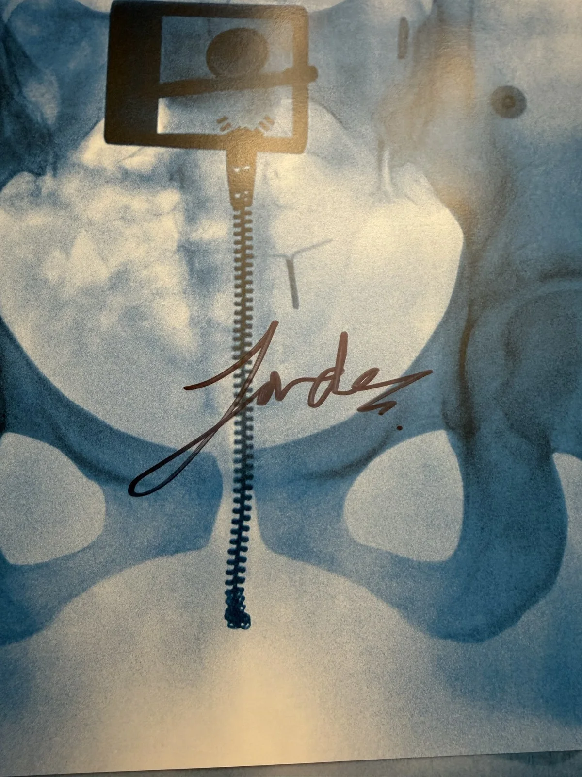 SIGNED Lorde Autographed Virgin Art Card Photo Vinyl LP COA SP26112, image 2