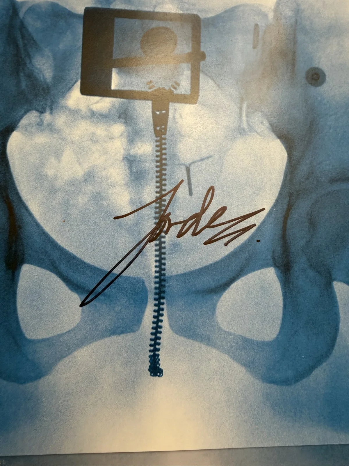 Lorde Virgin SIGNED Art Card Photograph & Vinyl LP Autograph COA SP26113, изображение 2