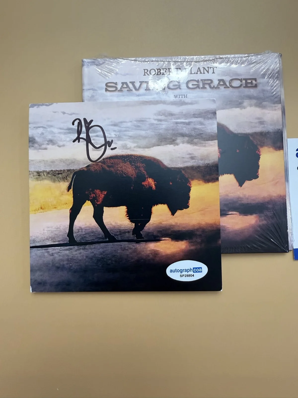 Robert Plant Led Zeppelin SIGNED CD Saving Grace Autograph ACOA SP28804, image 2