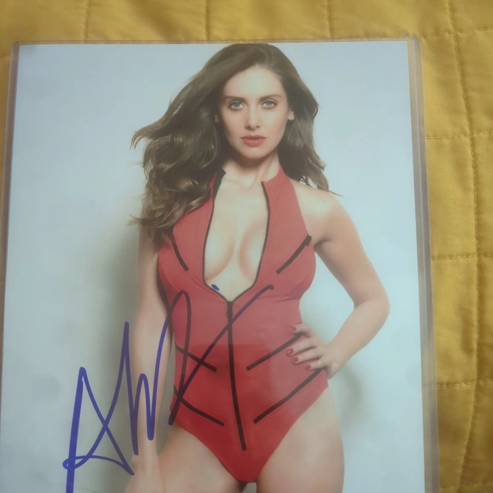 ALISON BRIE — ALISON BRIE BEAUTIFUL 8x10 Photo signed Letter of Authenticity, изображение 5