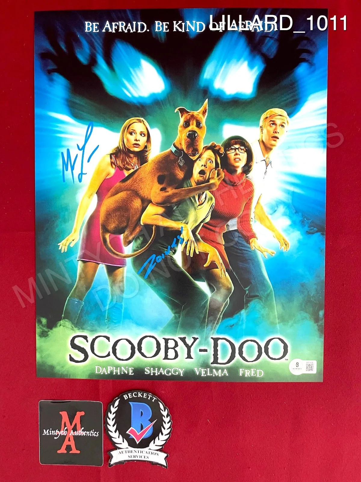 Matthew Lillard — Matthew Lillard autographed signed 11x14 photo Scooby Doo Shaggy Beckett COA