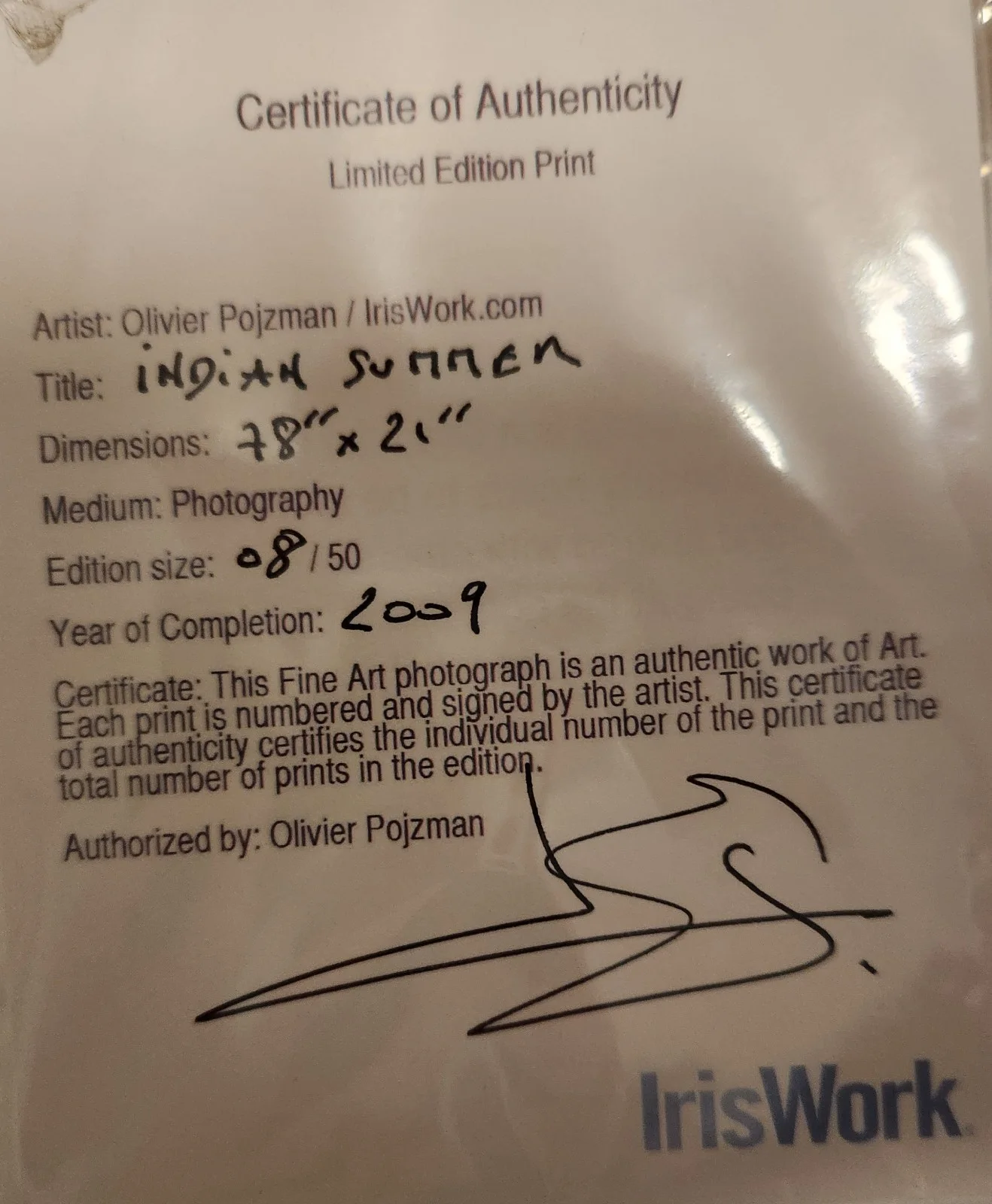 Indian Summer 78” x 21” by celebrity photographer Olivier Pojzman w/ COA, изображение 5