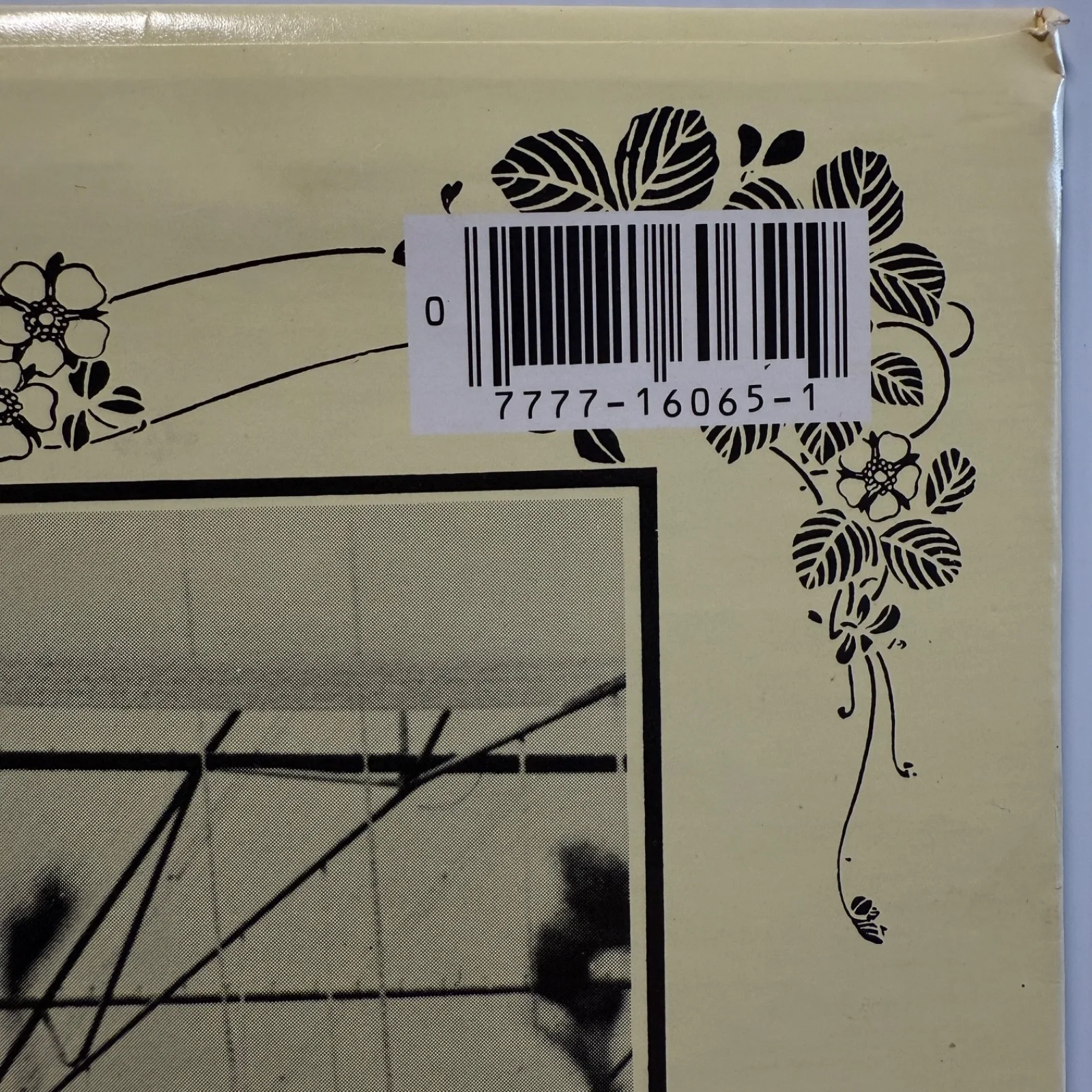 LEO KOTTKE "Greenhouse" AUTOGRAPHED ON COVER CapitolSN-16065 vinyl reissue NM/NM, изображение 5