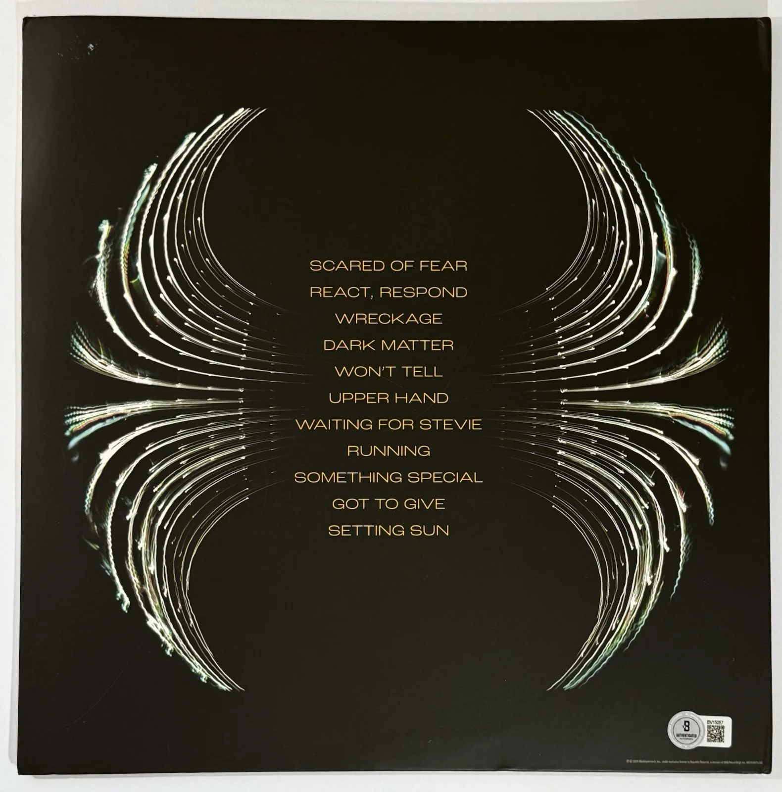 Matt Cameron Pearl Jam signed Dark Matter Album vinyl autographed beckett coa, image 4