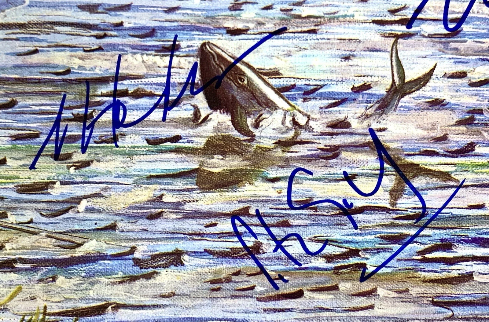 Genesis signed Album Foxtrot vinyl Peter Gabriel Phil Collins group auto Beckett, image 3