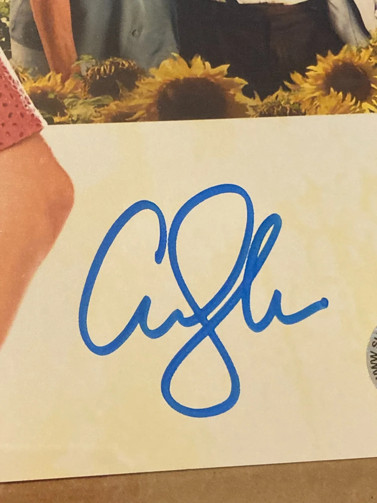 CHRISTOPHER EGAN and AMANDA SEYFRIED SIGNED 8x10 Photo with COA, image 2