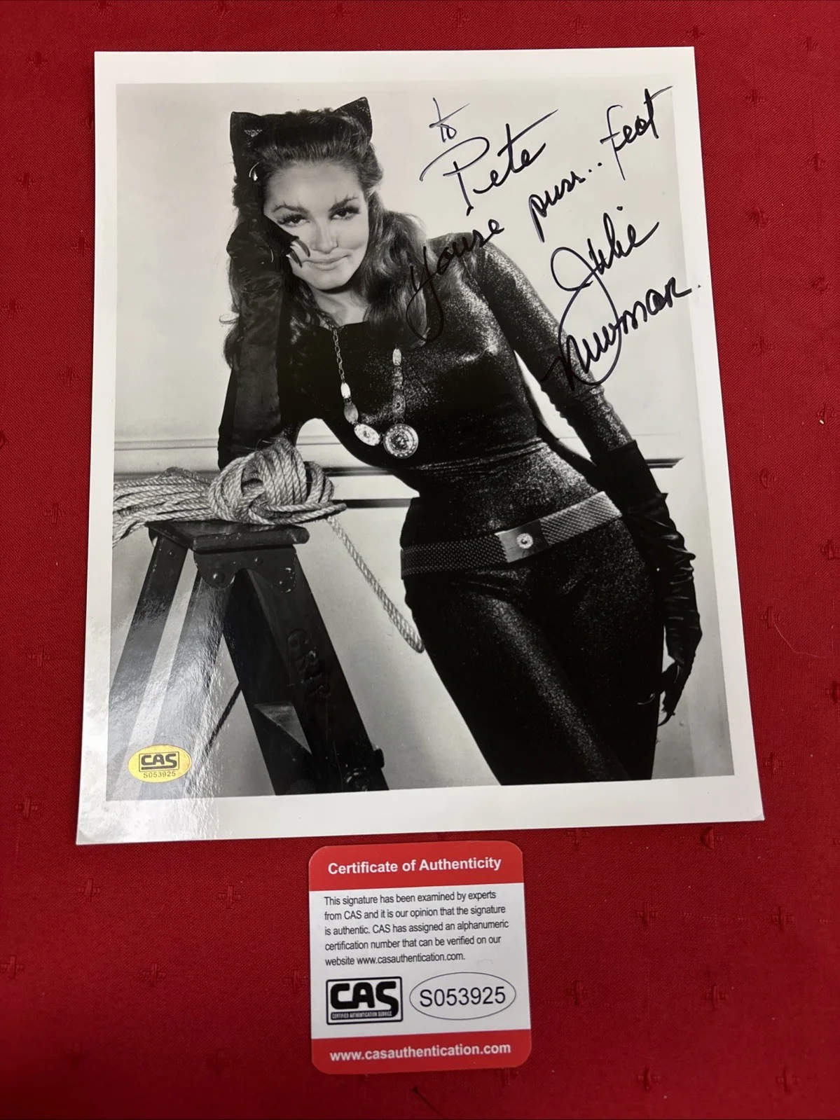 JULIE NEWMAR — Julie Newmar (Cat Woman) Purr…fect Signed 8x10 Photo (CAS Authenticated)