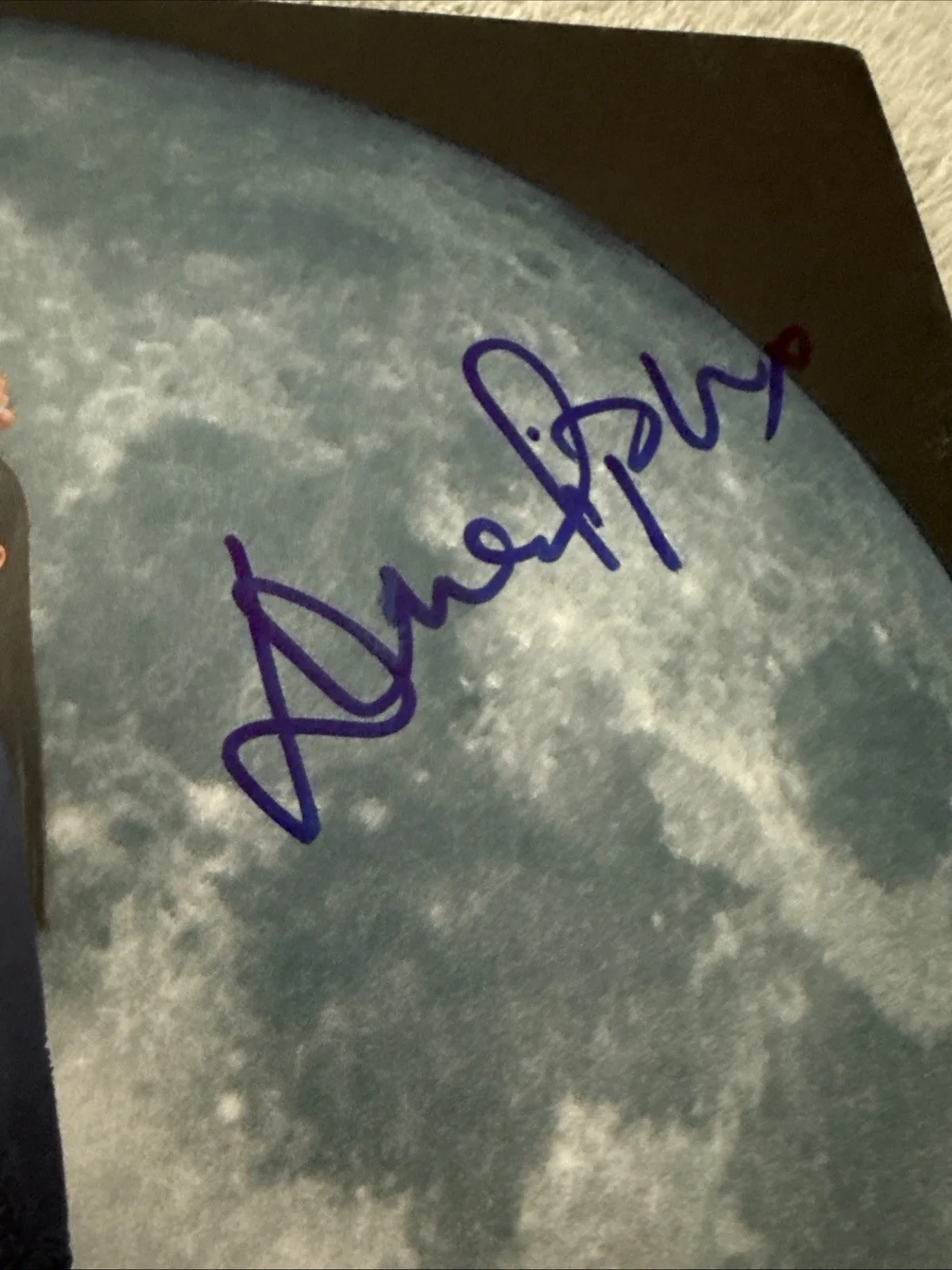 Dua Lipa Signed Future Nostalgia Vinyl Album JSA COA, image 2