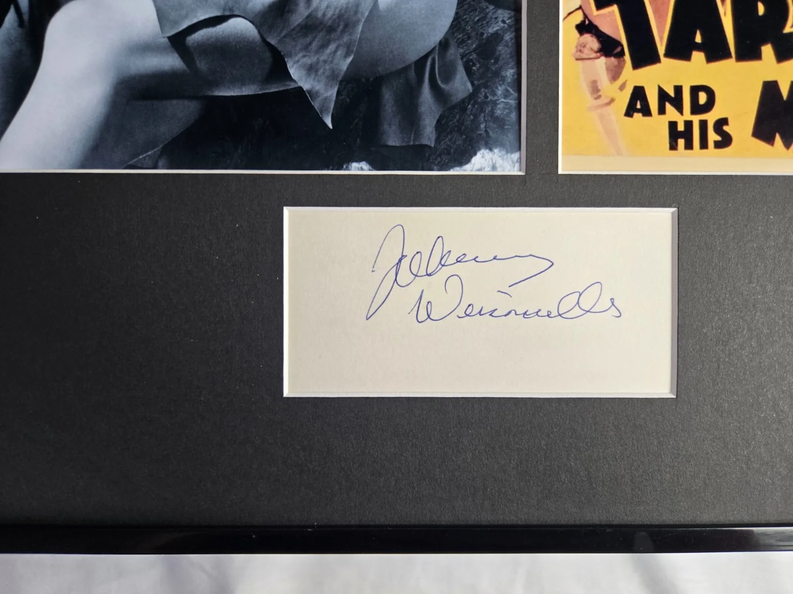 Johnny Weissmuller Signed Photo Display 16x20 Framed Tarzan and His Mate, image 2
