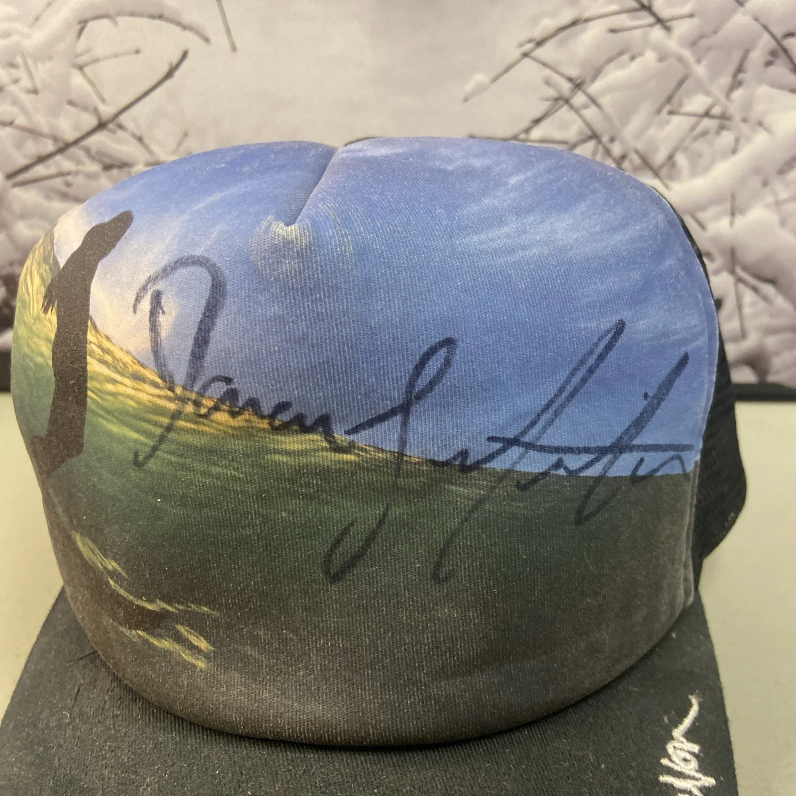 Donovan Frankenreiter Rock Musician Signed Hat In Person RARE, изображение 3